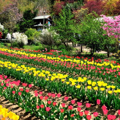 Thành phố Fukushima