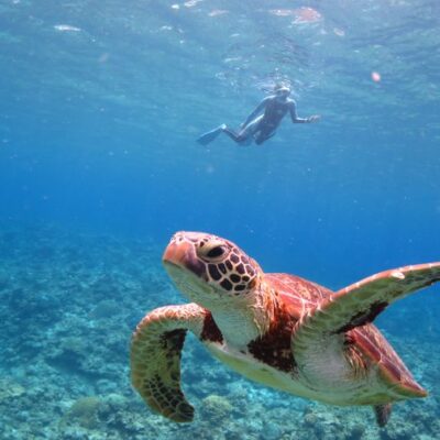 Lặn biển ở Nhật Bản