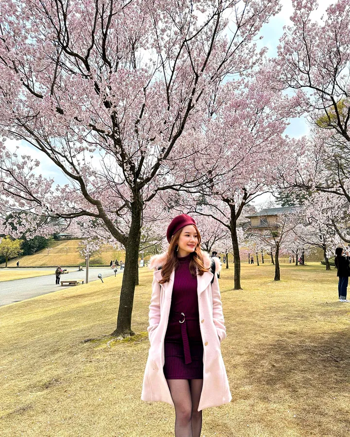 Những trải nghiệm tuyệt vời khi du lịch Tokyo mùa xuân