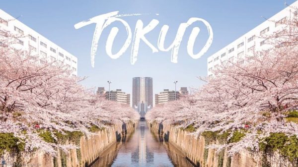 Những trải nghiệm tuyệt vời khi du lịch Tokyo mùa xuân