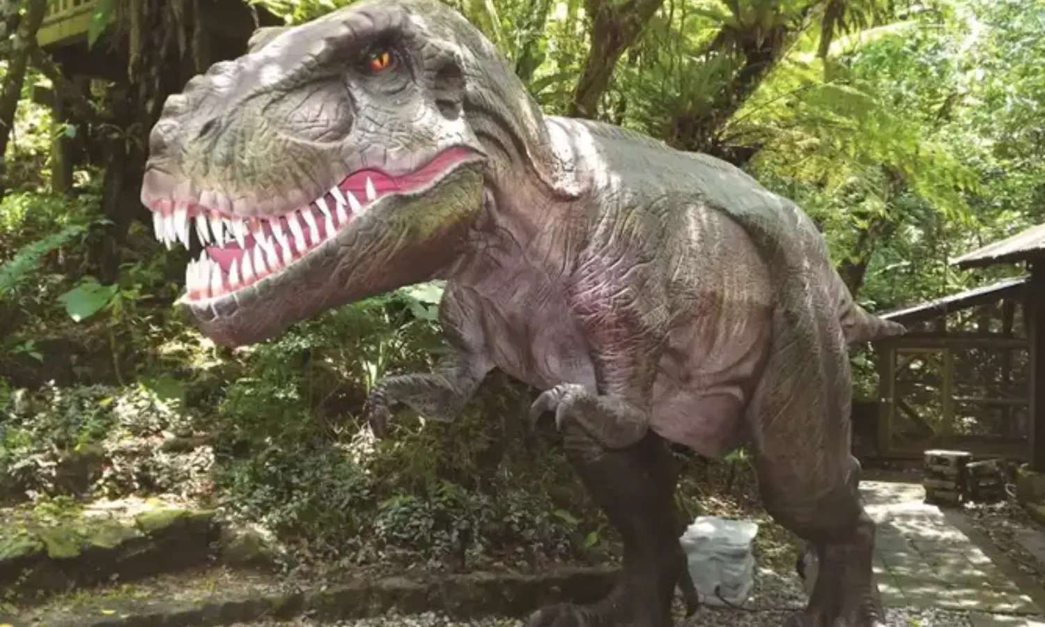 Dino Park Yanbaru Subtropical Forest