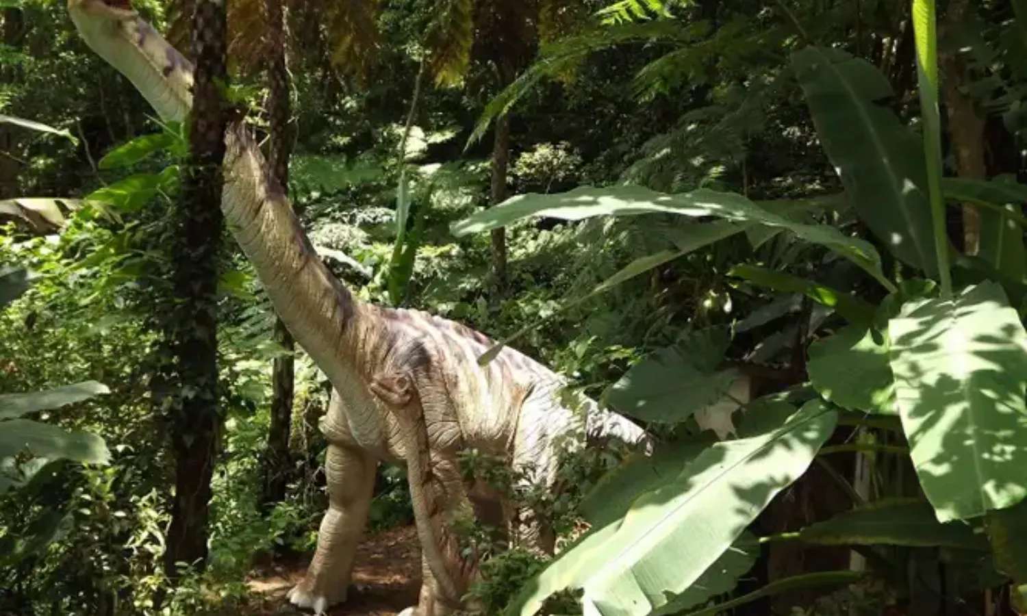 công viên khủng long Dino Park Yanbaru Subtropical Forest