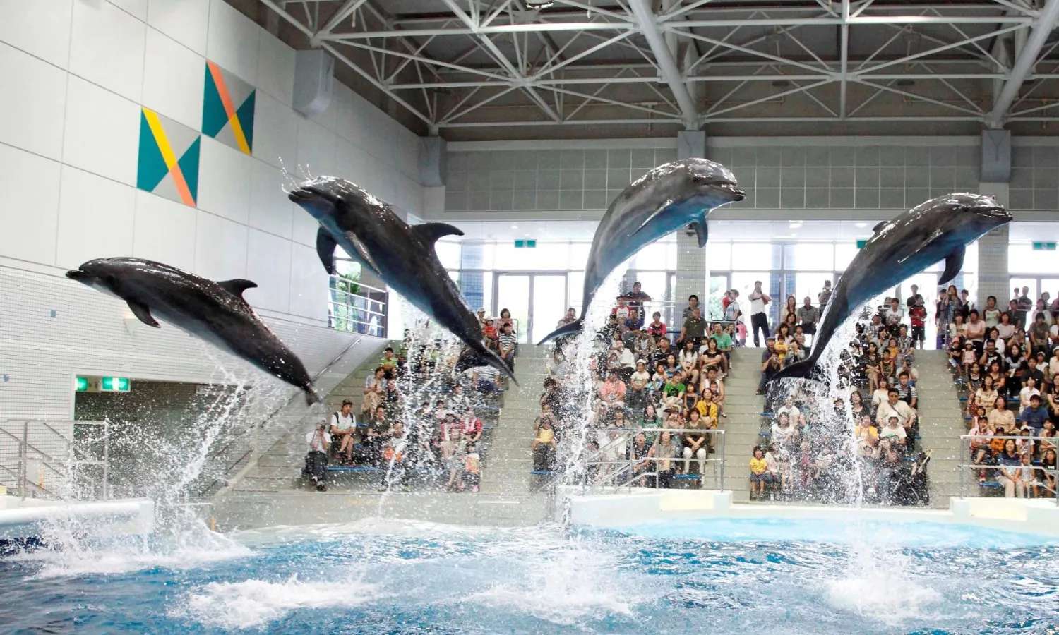 Thủy cung Io World Kagoshima