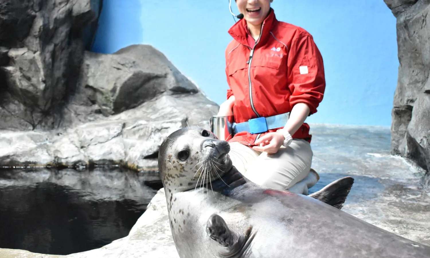 thủy cung Kagoshima