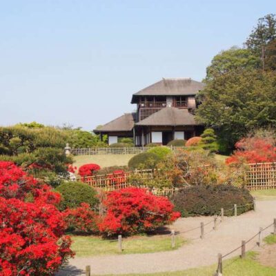 Vườn Nhật Bản và Vườn Thiền trên khắp Nhật Bản