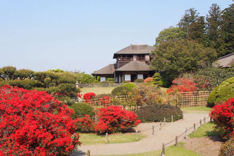 Vườn Nhật Bản và Vườn Thiền trên khắp Nhật Bản